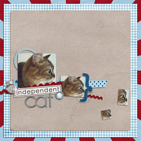 Independent cat