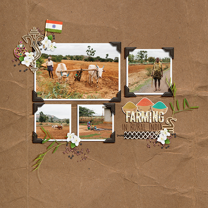 India Farming