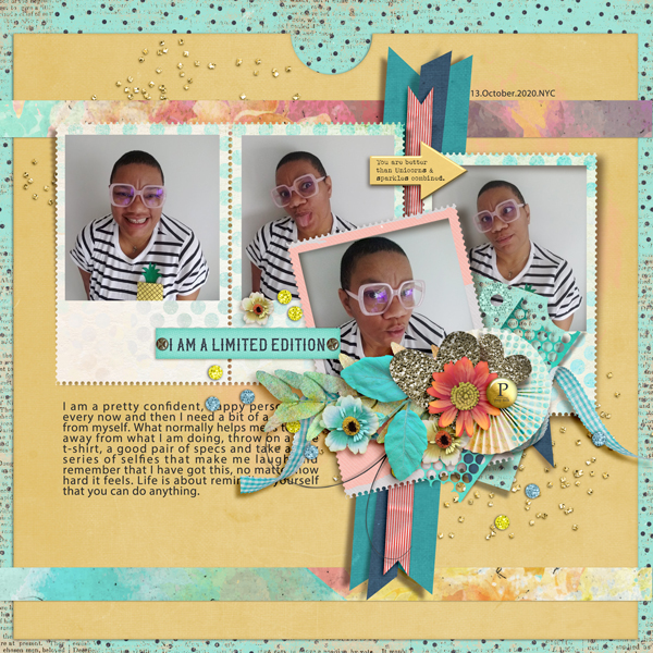iNSD 2021 Template Challenge: Limited Edition