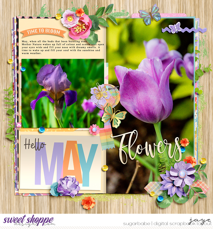 iNSD 2024 Scrap Your Heart Out: Designer Mash Up
