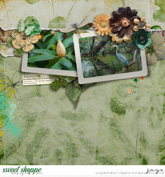 iNSD 2024 Scrap Your Heart Out: Template Challenge