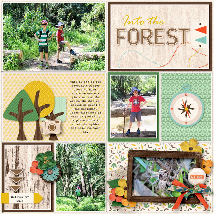 Into the Forest