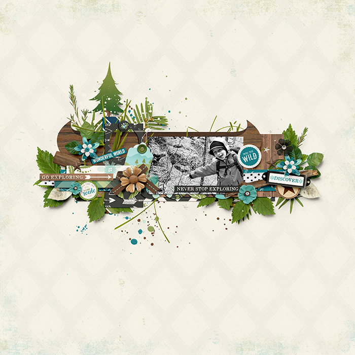 Into The Wild