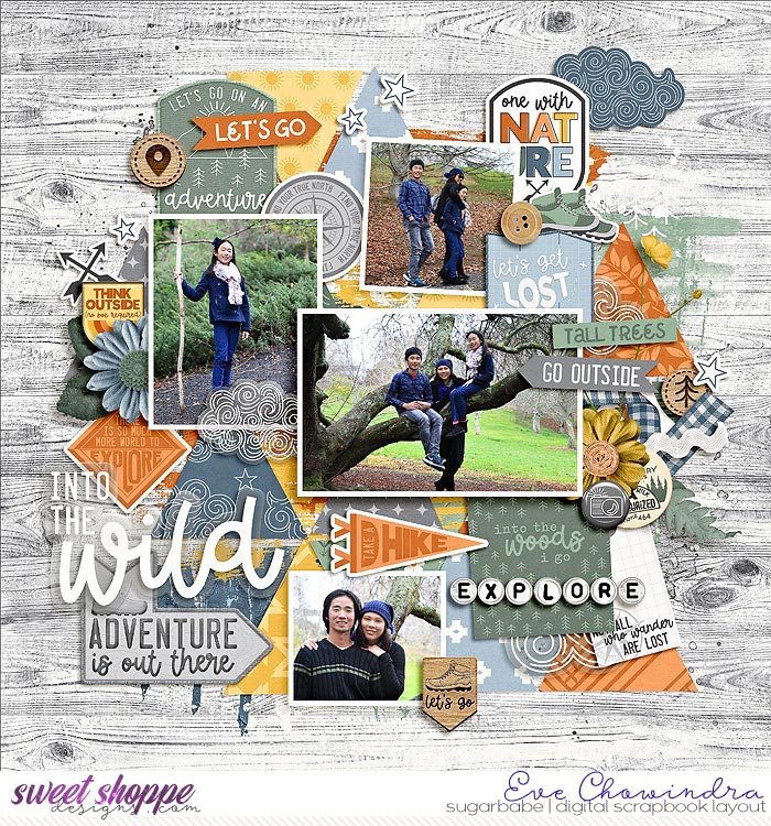 into the wild