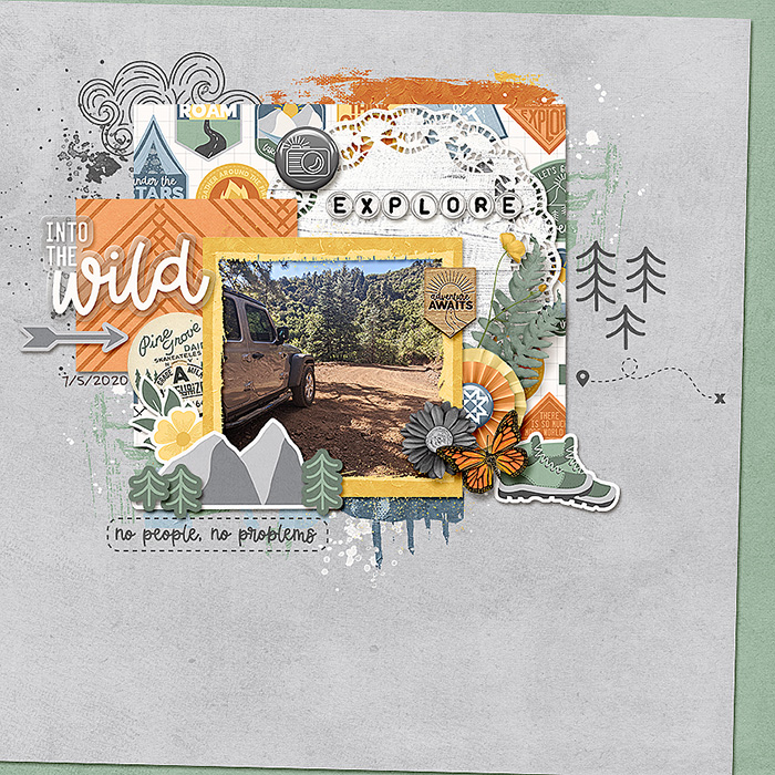 Into The Wild