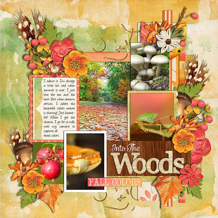 Into The Woods
