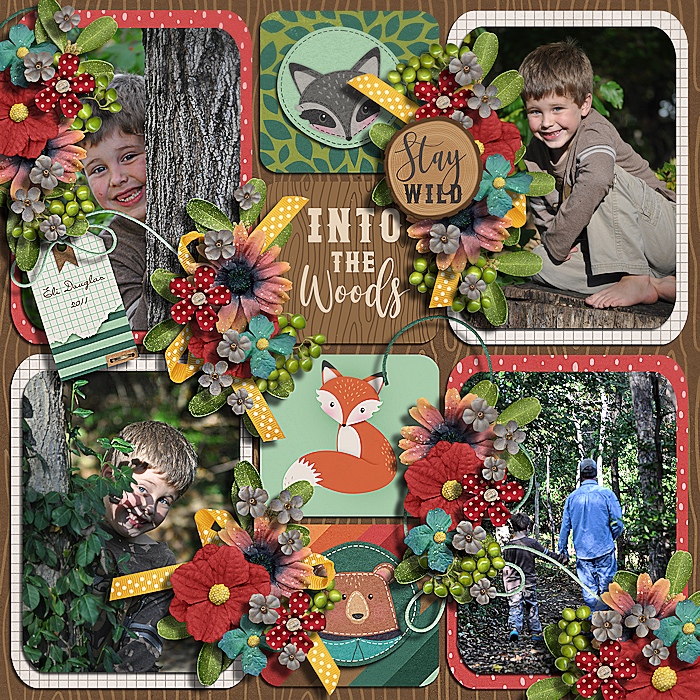 Into the woods