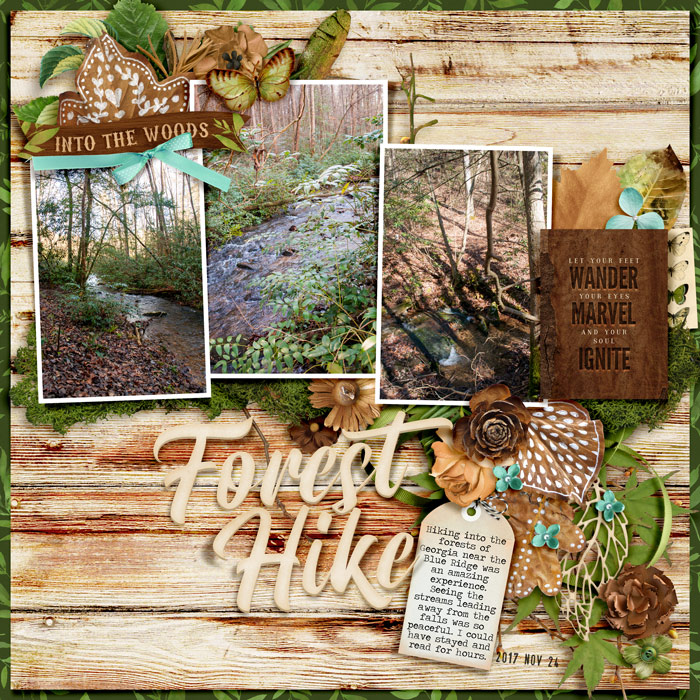 Into The Woods