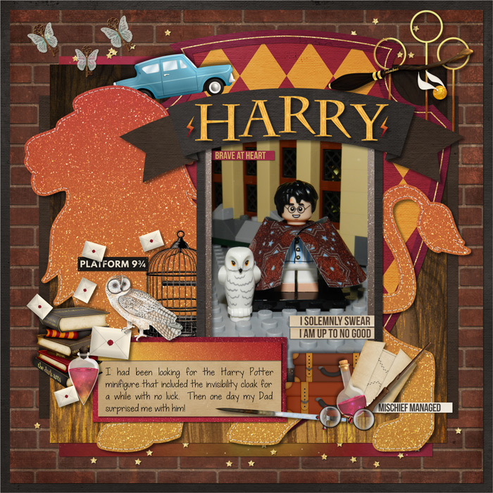 Invisible Cloak Harry