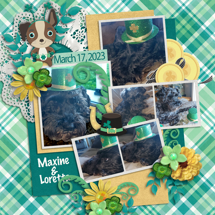 Irish Luck by Clever Monkey Graphics