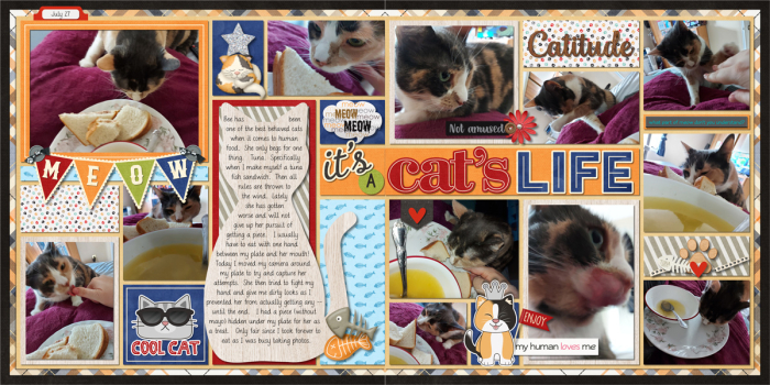 It's a Cat's Life