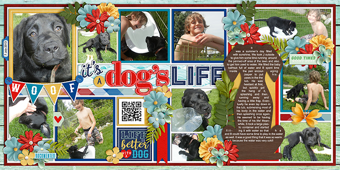 It's a Dog's Life
