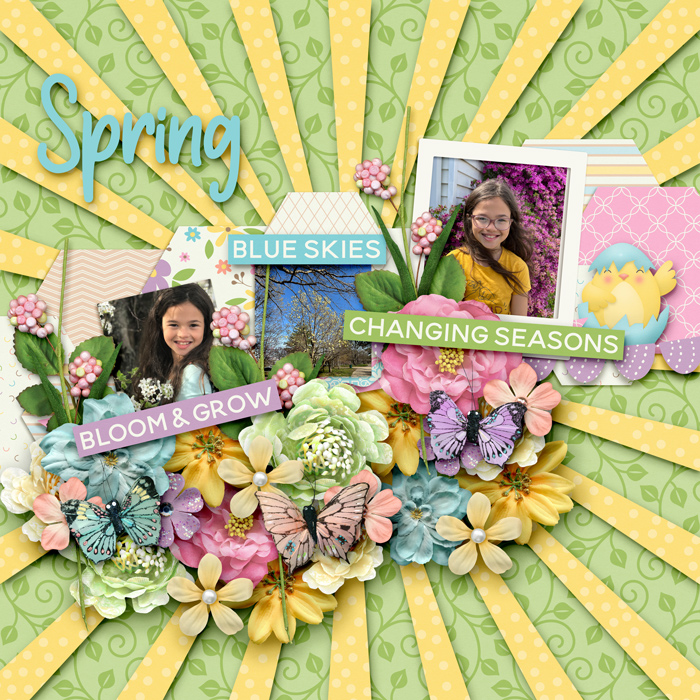 It's A Spring Thing