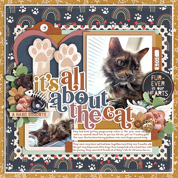 It's All About the Cat