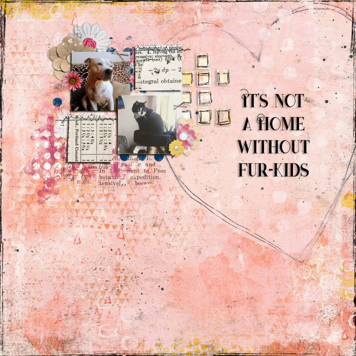 I'ts not a home without fur-kids