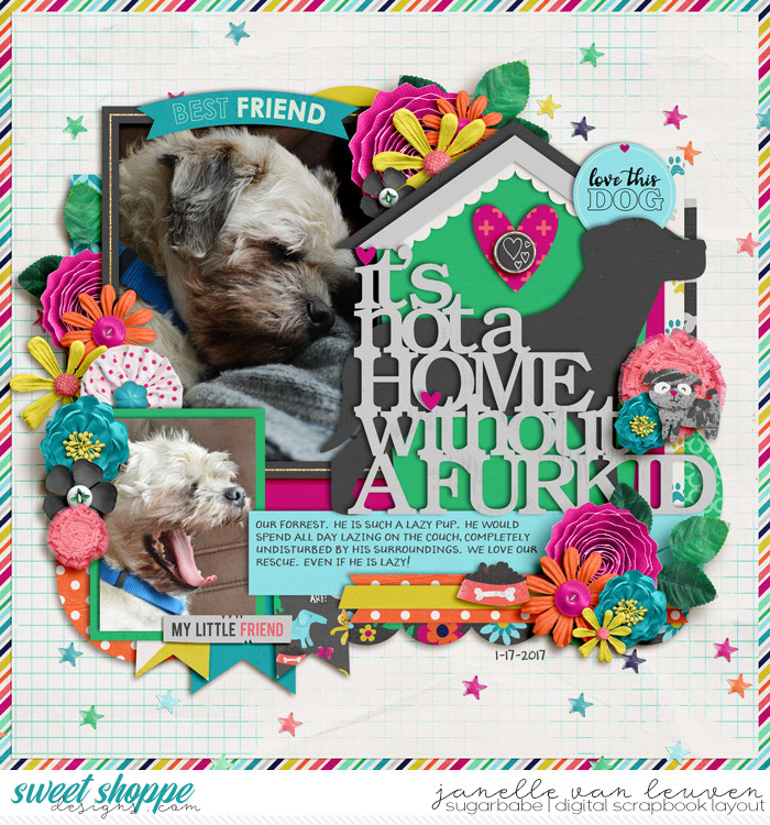 It's Not Home Without A Furkid