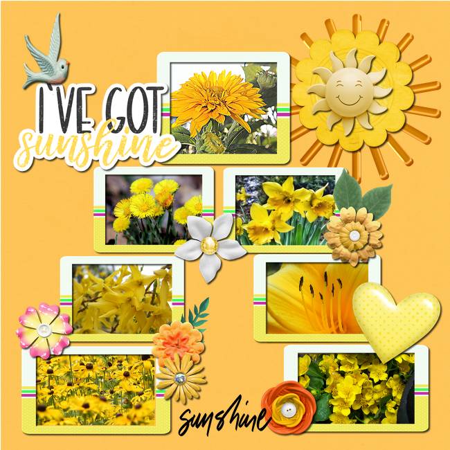 I've Got Sunshine