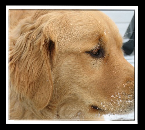 Izzie