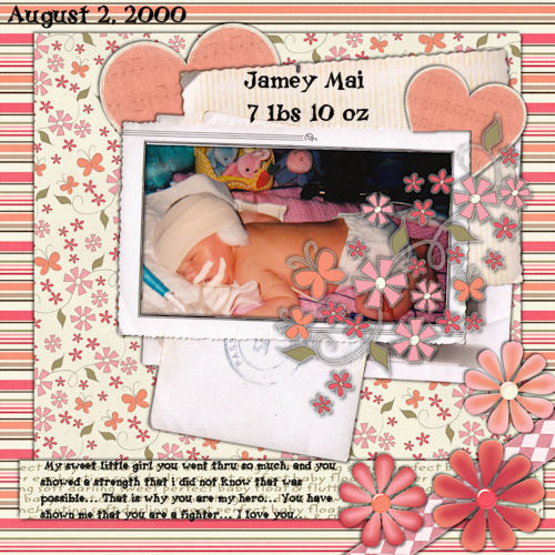 jamey's baby book beginning