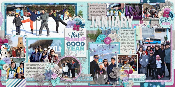 jan 2017 in review