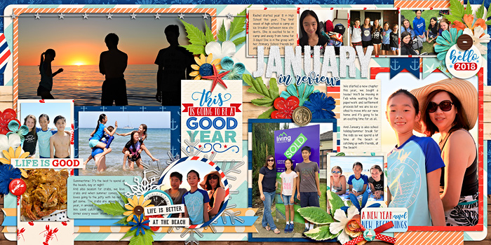 jan 2018 in review