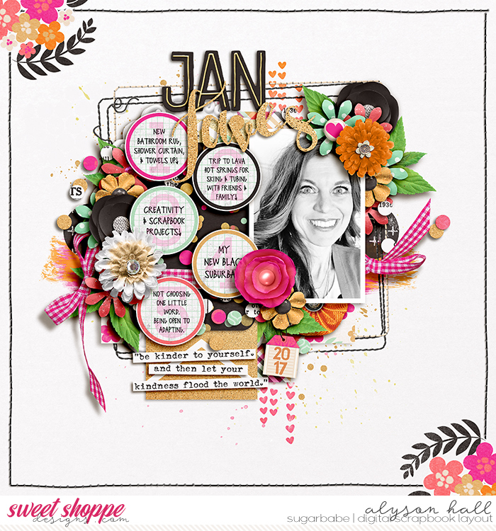 Jan Faves 2017