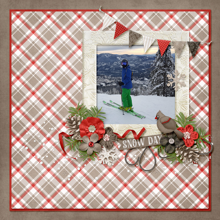 Jan Passport #9 seasonal - bird  Ski Day