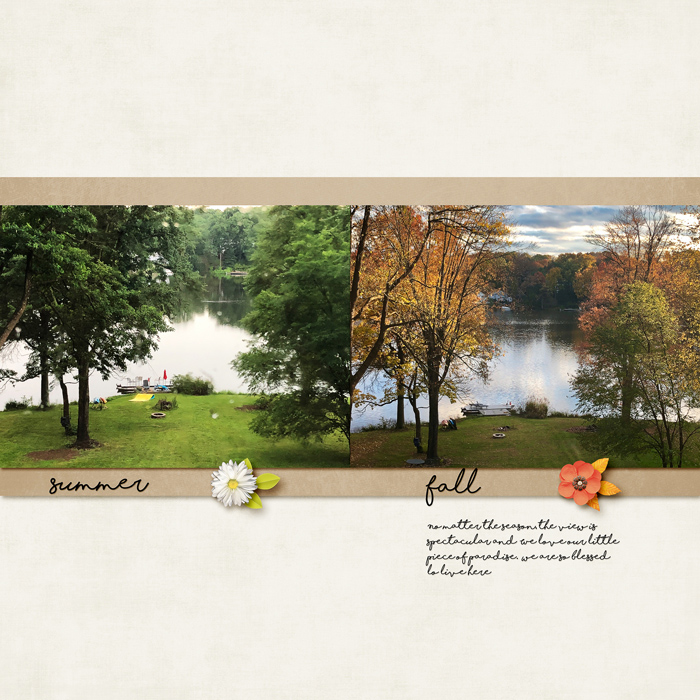 Jan Passport Photography Summer Fall