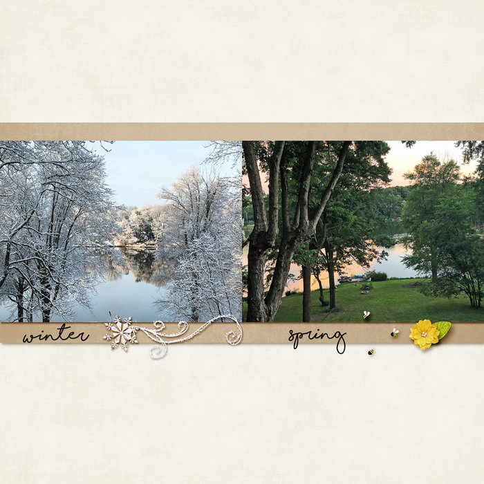 Jan Passport Photography Winter Spring