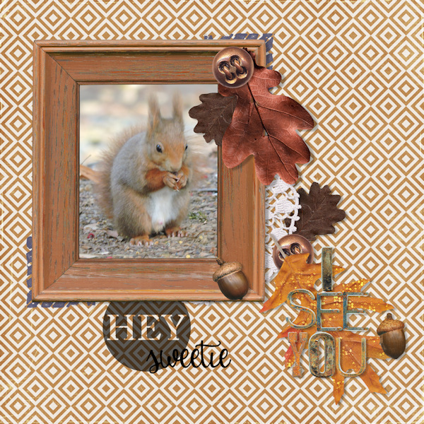 jan2 - squirrel