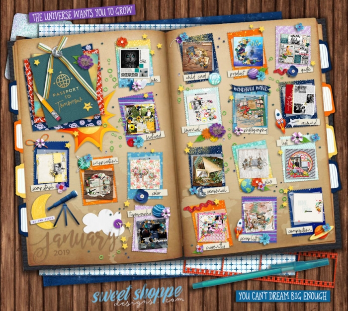 January 2019 PTSS