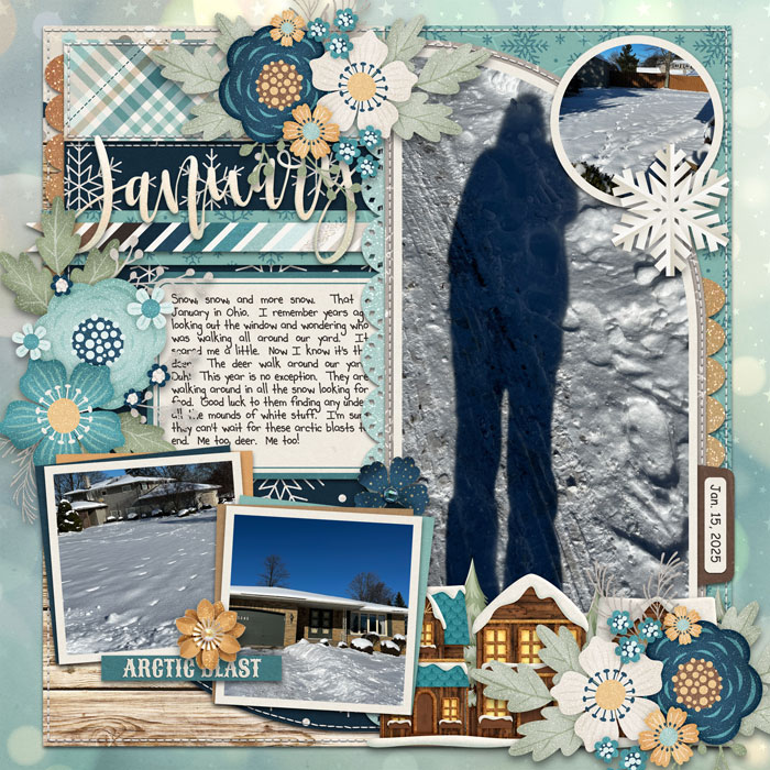 January Arctic Blast