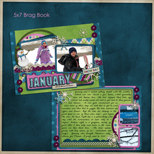 January Brag Book