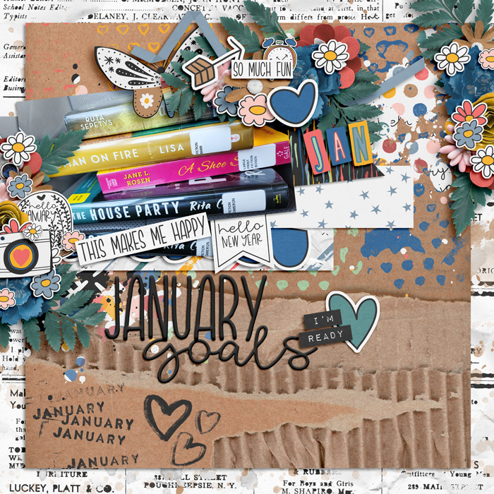 January Goals 23