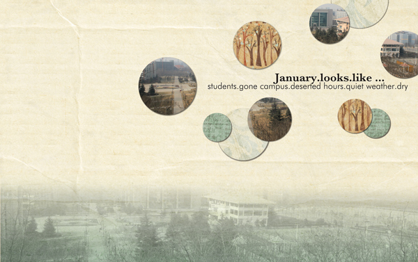 January.Looks.Like