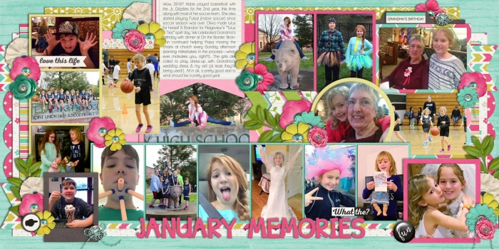 JANUARY MEMORIES (2016)