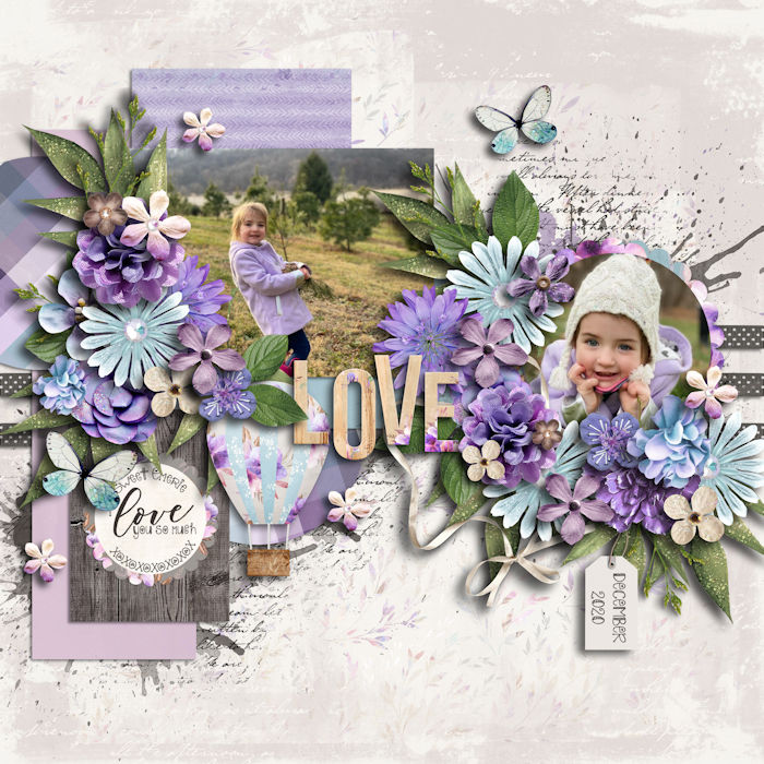 January Passport #10