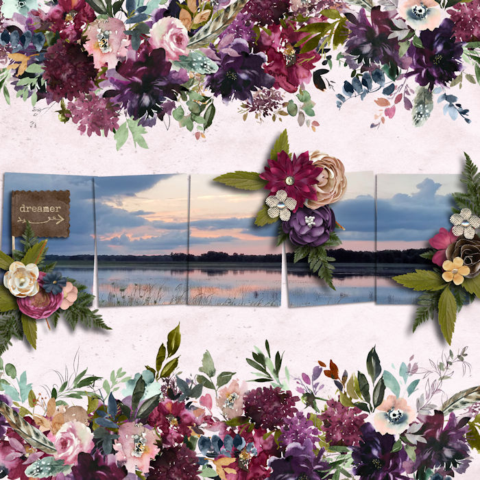 January Passport #12