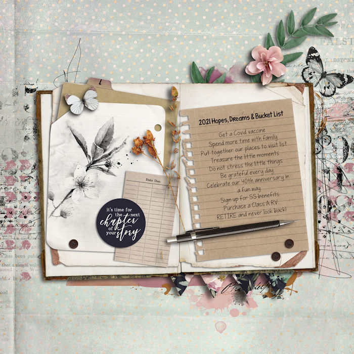 January Passport #15