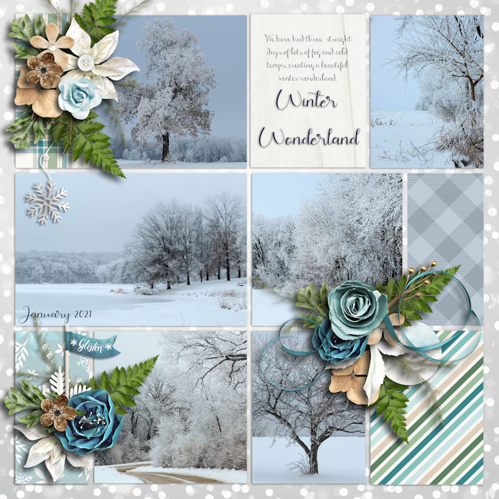 January Passport #5