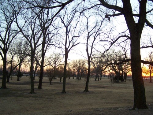 January Photo Challenge