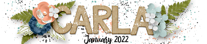 January Signature