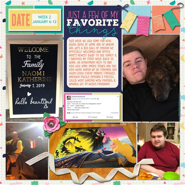 January Week 2 - Right Page