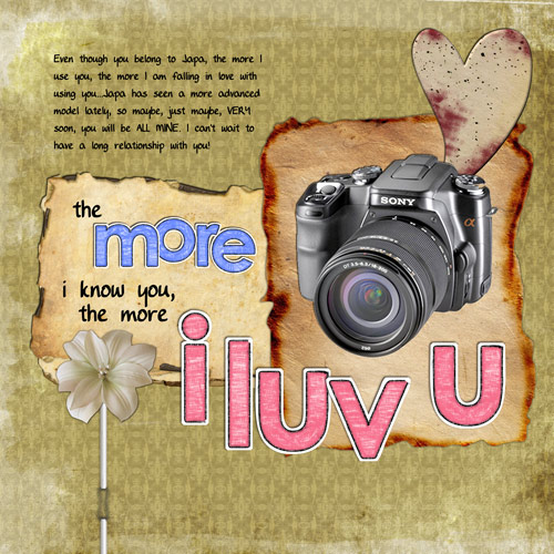 Japa's Camera