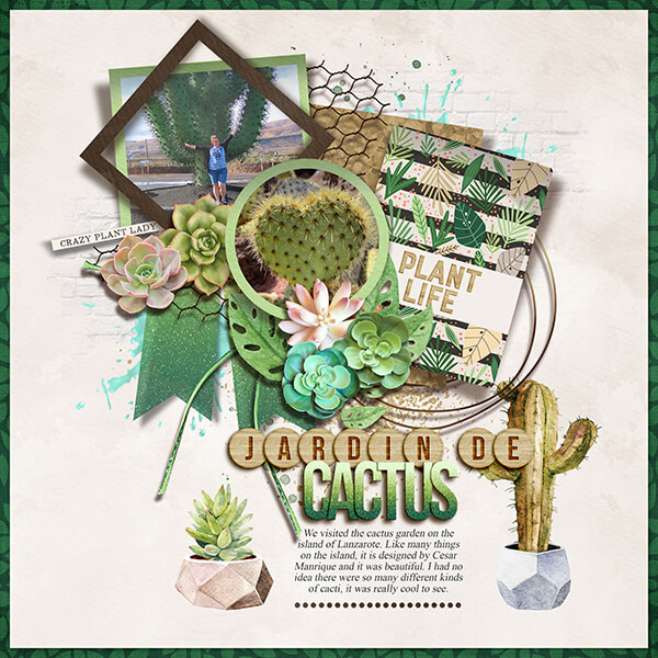 Jardin De Cactus