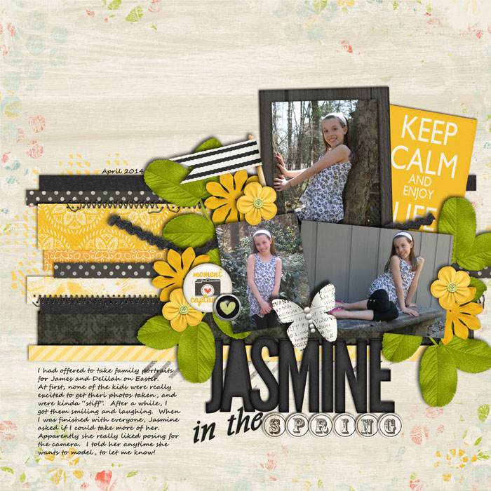 Jasmine in the Spring