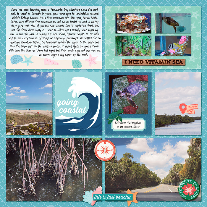 John D MacArthur Beach State Park - right