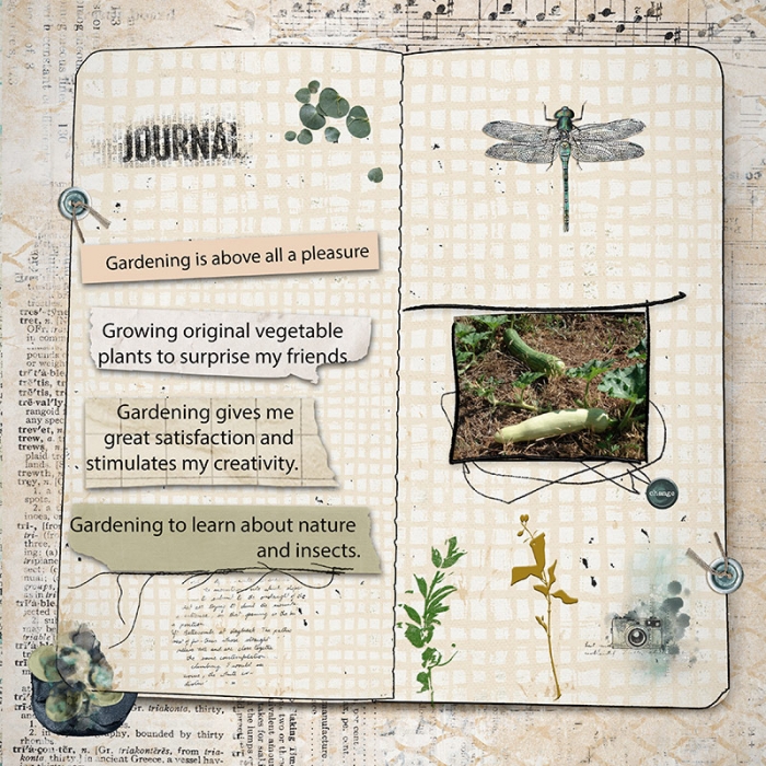 Journal