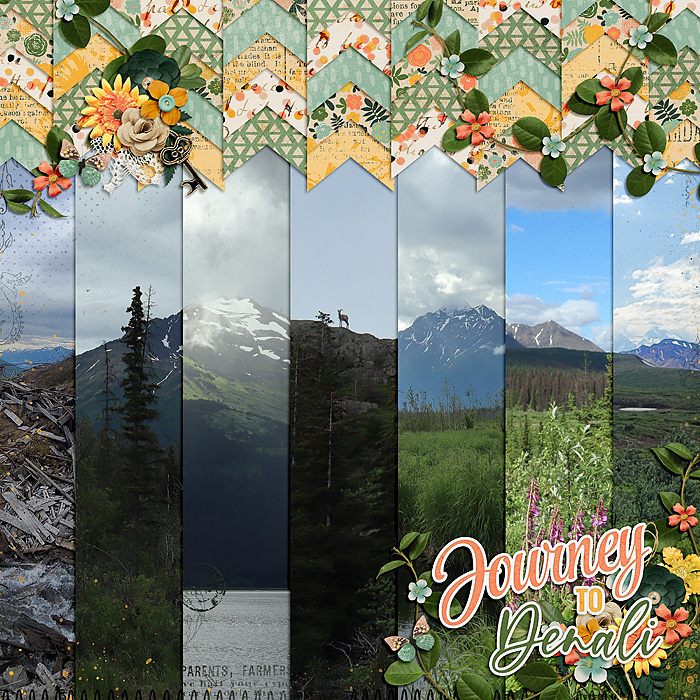 Journey To Denali