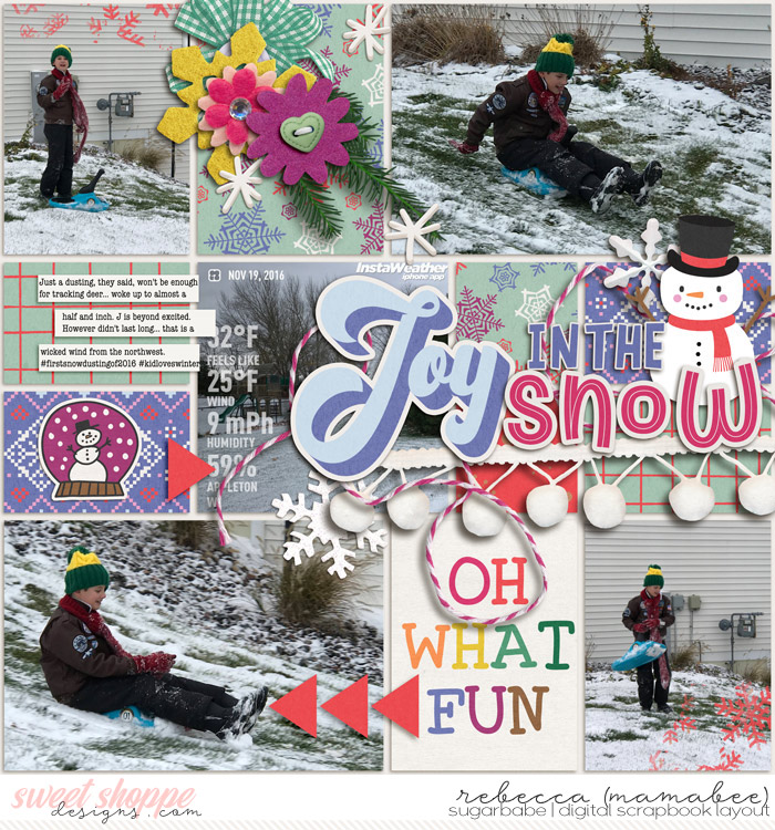 joy in the snow
